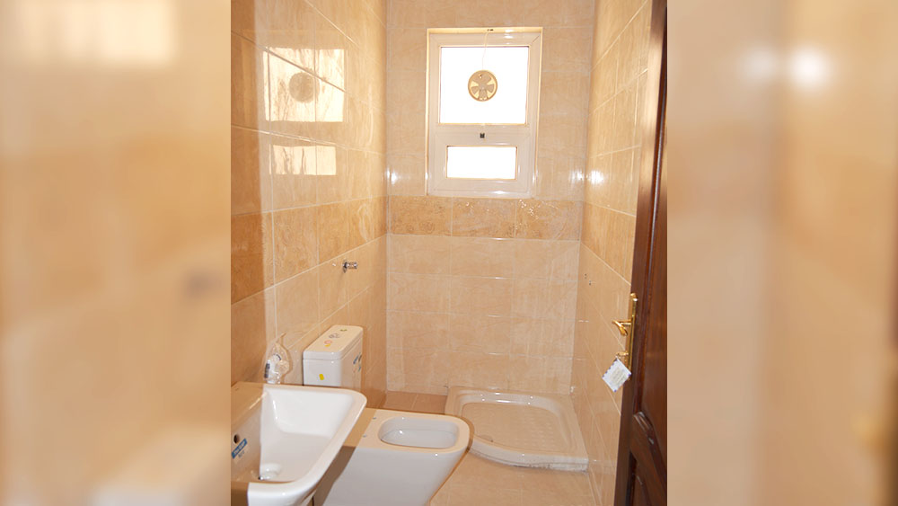 تضامن سيتي 1